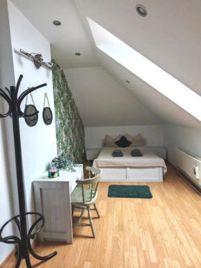 Brasov Cucu Residence